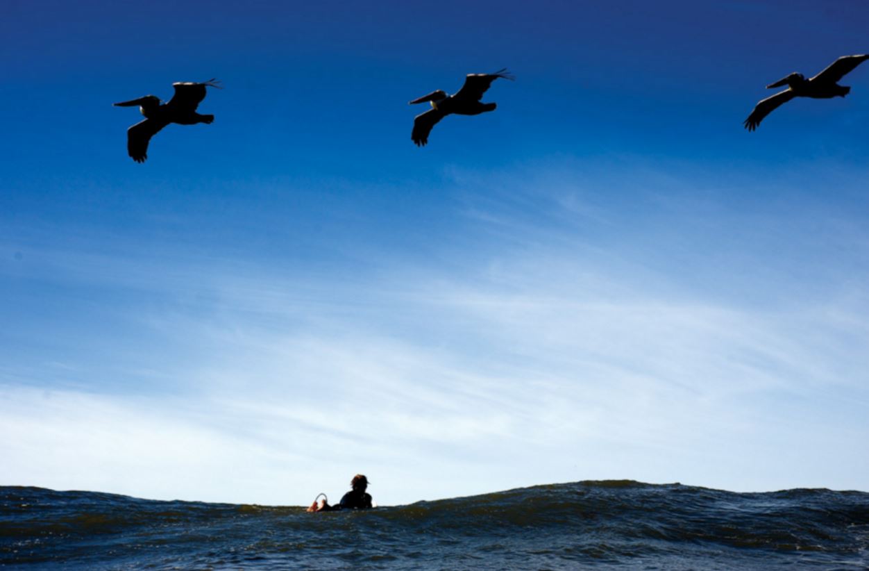 サーフィンは危険なスポーツ Surferが取り入れるべき８つの習慣 Asean 海外移住 アジア タイのススメ
